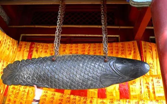 北京玉兰花观赏地,北京最美紫玉兰在哪