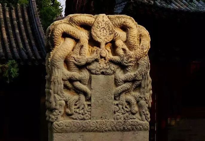 北京玉兰花观赏地,北京最美紫玉兰在哪