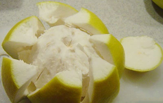 甲醛最怕的4种克星,甲醛最怕的2种克星