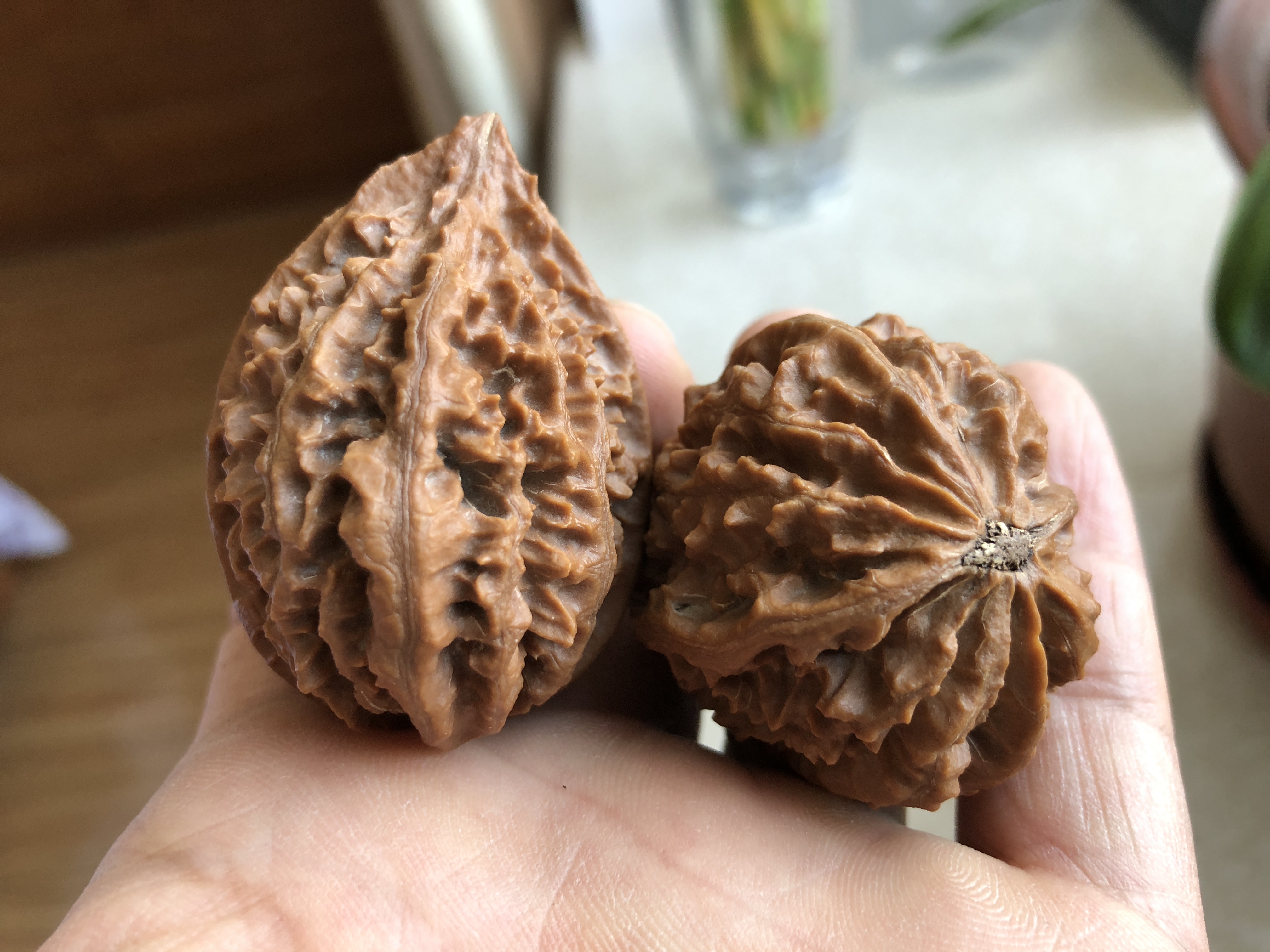 文玩核桃不小心磕掉尖或磕破纹肉就该扔掉吗？