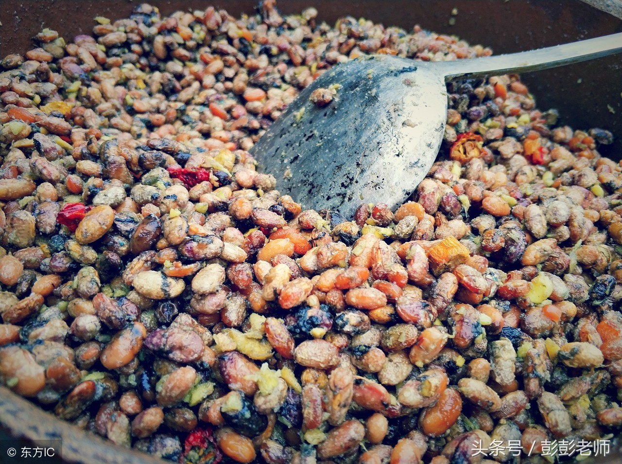 山苍树的功效与作用及禁忌,山苍树的功效与作用