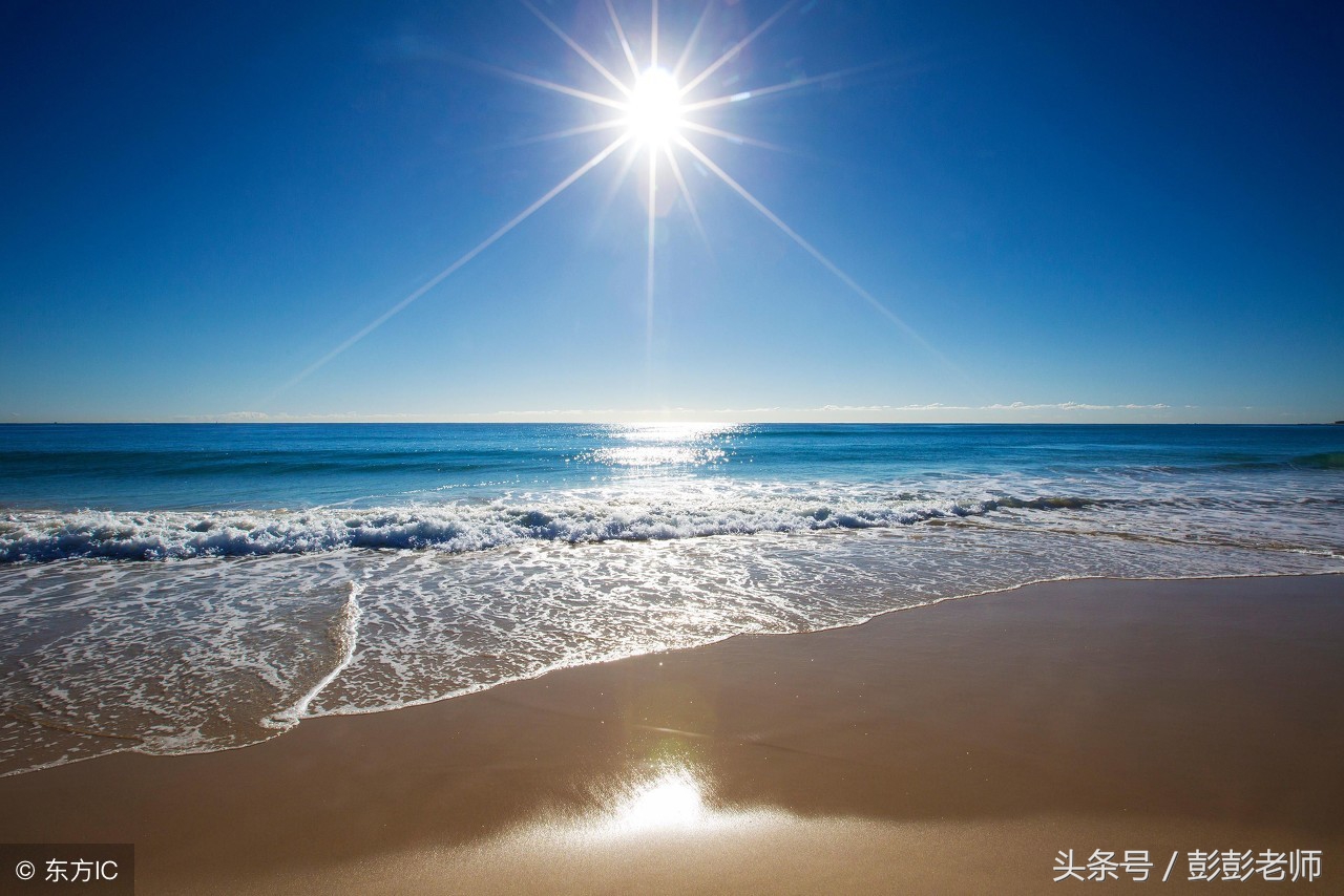 山苍树的功效与作用及禁忌,山苍树的功效与作用