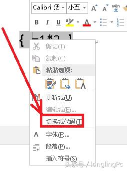 word2019如何从指定页面加页码,如何将word同一页面设置两个页码