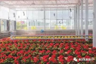 踏青赏春泡温泉,春日踏青周边游