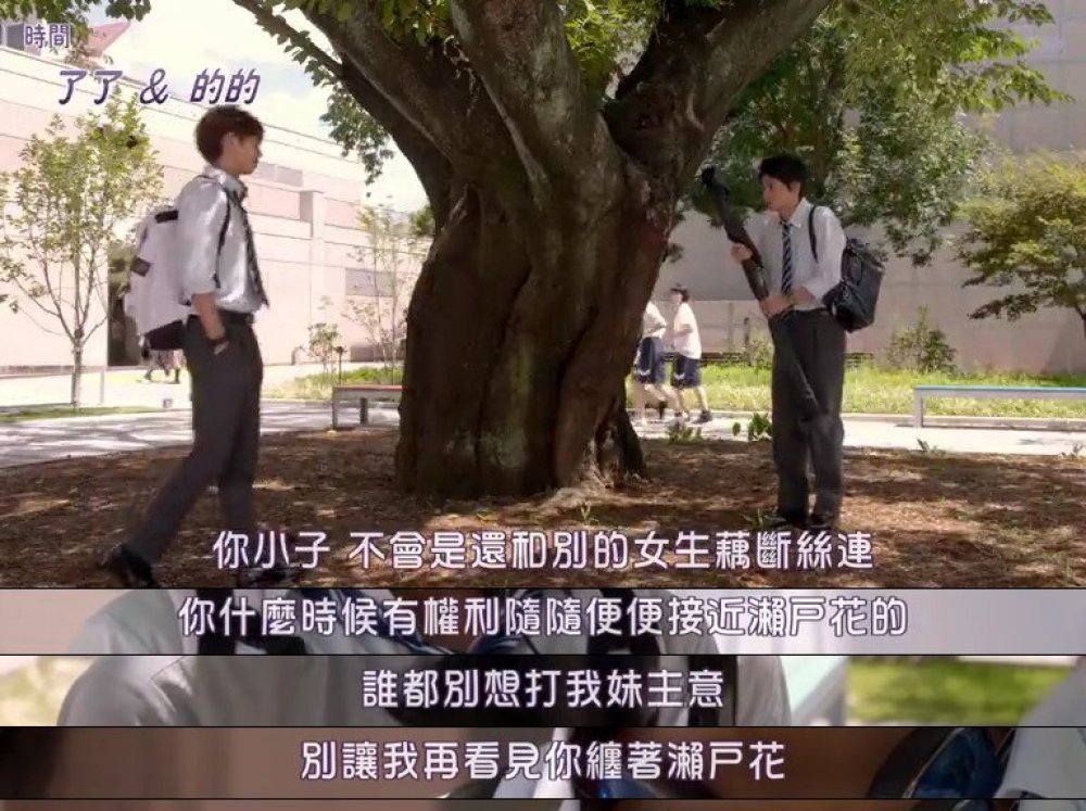 哥哥太爱我了怎么办全剧免费,哥哥太爱我了怎么办全剧