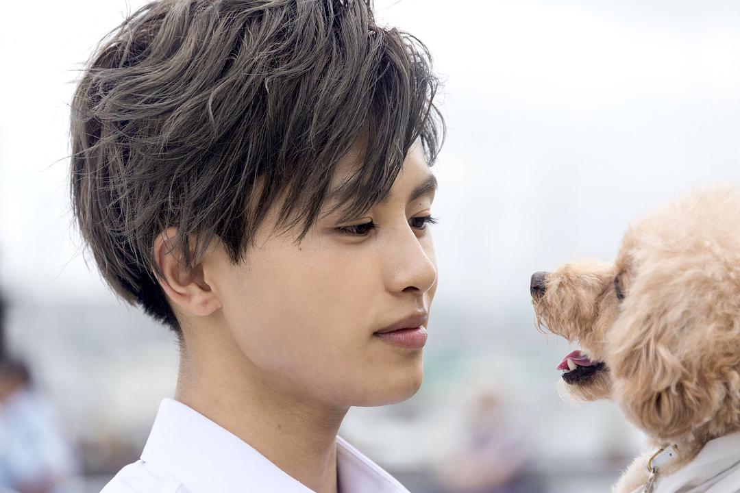 哥哥太爱我了怎么办全剧免费,哥哥太爱我了怎么办全剧