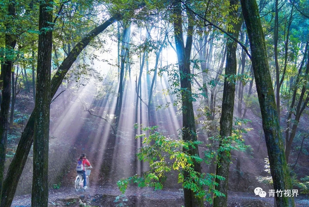 七星伴月七星星君,七星伴月迎中秋