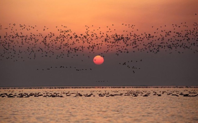 南昌必去十大景点排名第一,南昌必去的10个地方