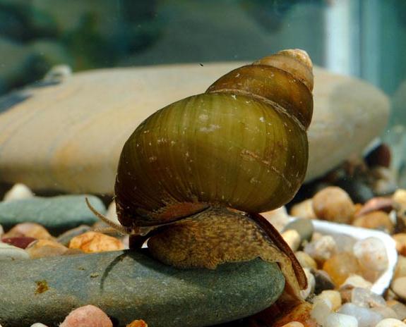 浙江龙泉地图,美丽浙江龙泉