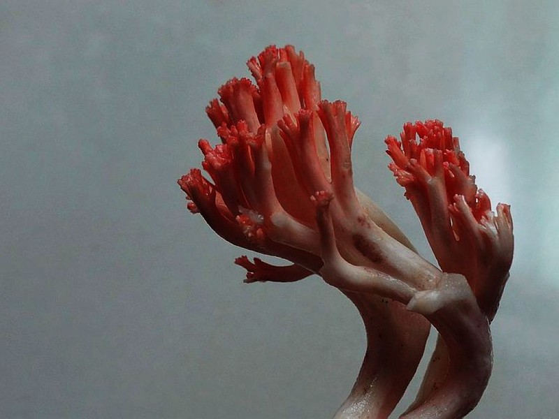 浙江龙泉地图,美丽浙江龙泉