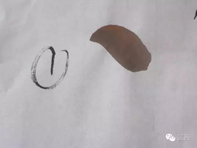 国画鸟的画法初学者,鸟的眼睛画法国画