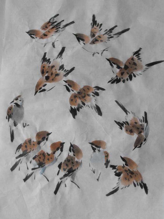 国画鸟的画法初学者,鸟的眼睛画法国画