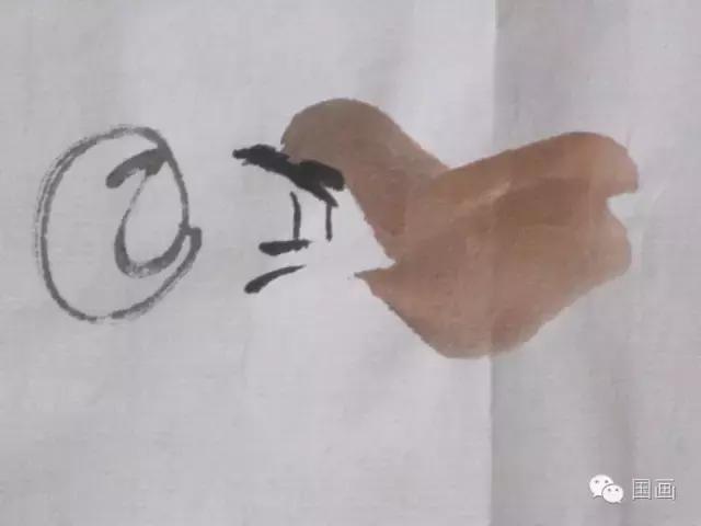 国画鸟的画法初学者,鸟的眼睛画法国画