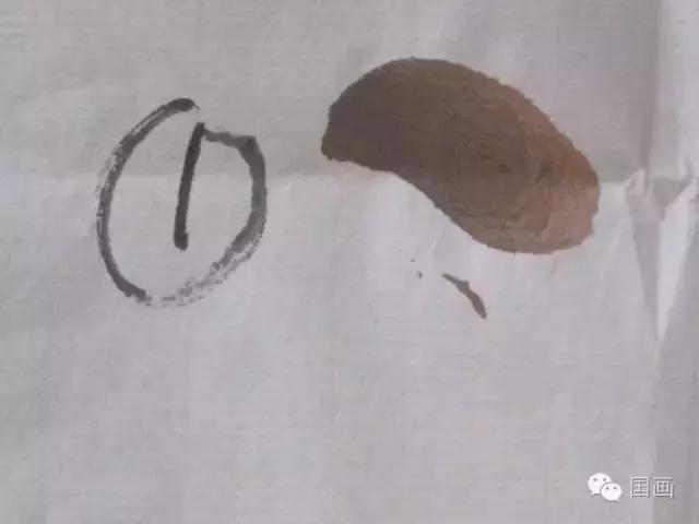 国画鸟的画法初学者,鸟的眼睛画法国画