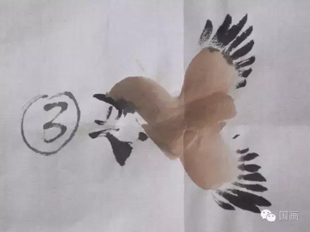 国画鸟的画法初学者,鸟的眼睛画法国画