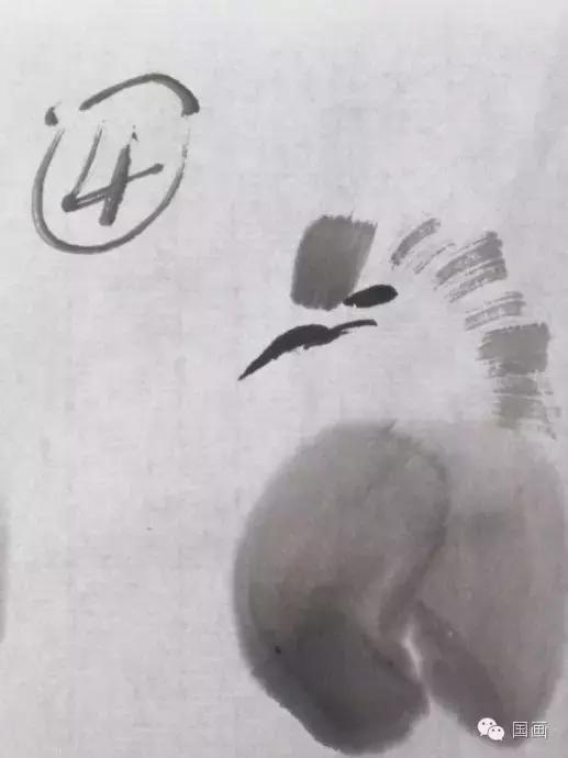 国画鸟的画法初学者,鸟的眼睛画法国画