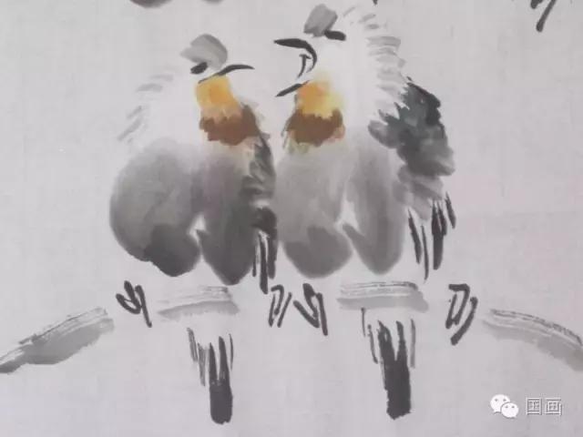 国画鸟的画法初学者,鸟的眼睛画法国画