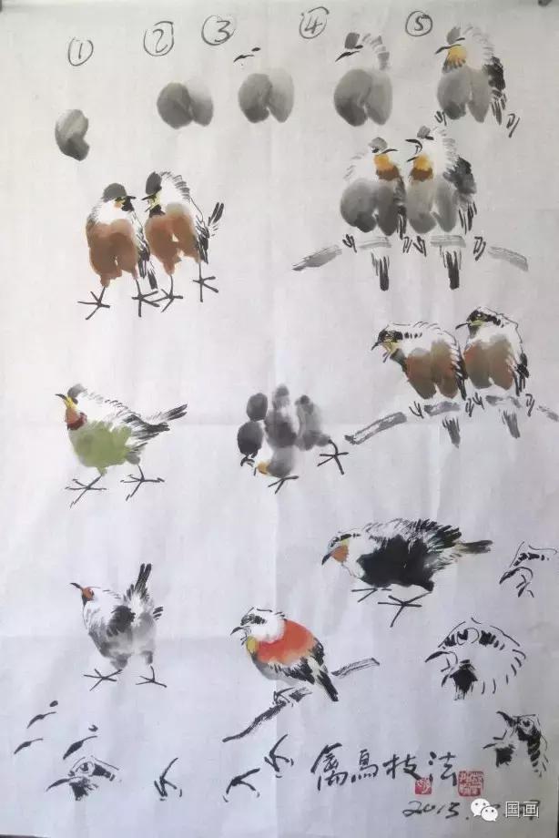 国画鸟的画法初学者,鸟的眼睛画法国画