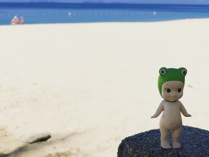 7月厦门到曼谷旅游,5天4晚自由行曼谷