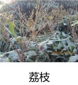 余教授讲座完整视频,余教授工艺大讲堂