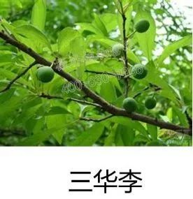 余教授讲座完整视频,余教授工艺大讲堂