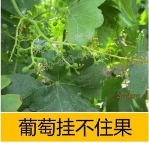 余教授讲座完整视频,余教授工艺大讲堂