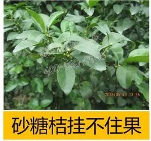 余教授讲座完整视频,余教授工艺大讲堂