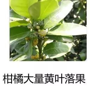 余教授讲座完整视频,余教授工艺大讲堂