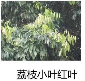 余教授讲座完整视频,余教授工艺大讲堂