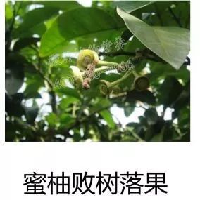 余教授讲座完整视频,余教授工艺大讲堂