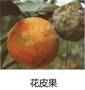 余教授讲座完整视频,余教授工艺大讲堂