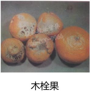 余教授讲座完整视频,余教授工艺大讲堂