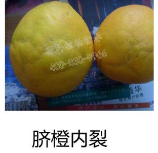 余教授讲座完整视频,余教授工艺大讲堂