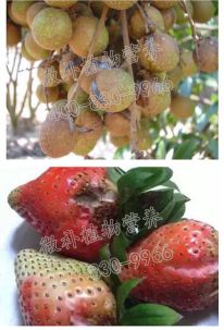 余教授讲座完整视频,余教授工艺大讲堂