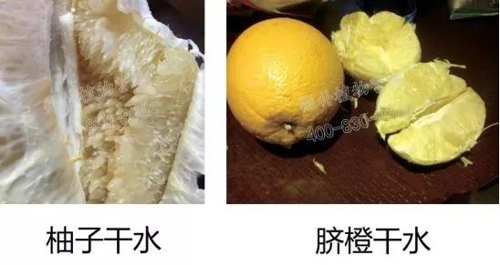 余教授讲座完整视频,余教授工艺大讲堂