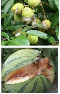 余教授讲座完整视频,余教授工艺大讲堂