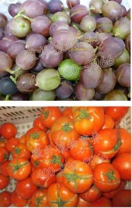 余教授讲座完整视频,余教授工艺大讲堂