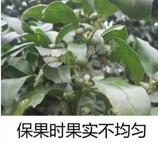 余教授讲座完整视频,余教授工艺大讲堂