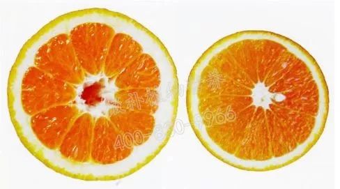 余教授讲座完整视频,余教授工艺大讲堂