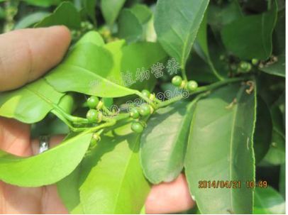 余教授讲座完整视频,余教授工艺大讲堂