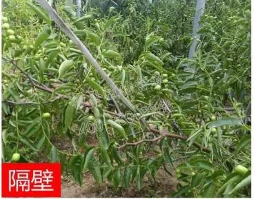 余教授讲座完整视频,余教授工艺大讲堂