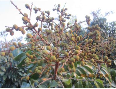 余教授讲座完整视频,余教授工艺大讲堂