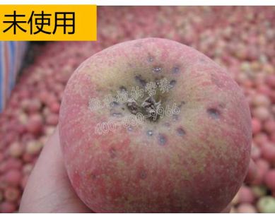 余教授讲座完整视频,余教授工艺大讲堂