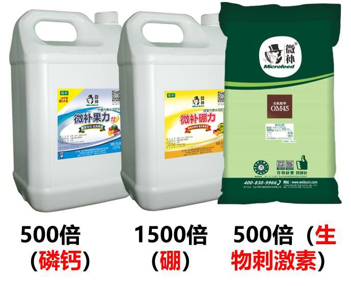 余教授讲座完整视频,余教授工艺大讲堂