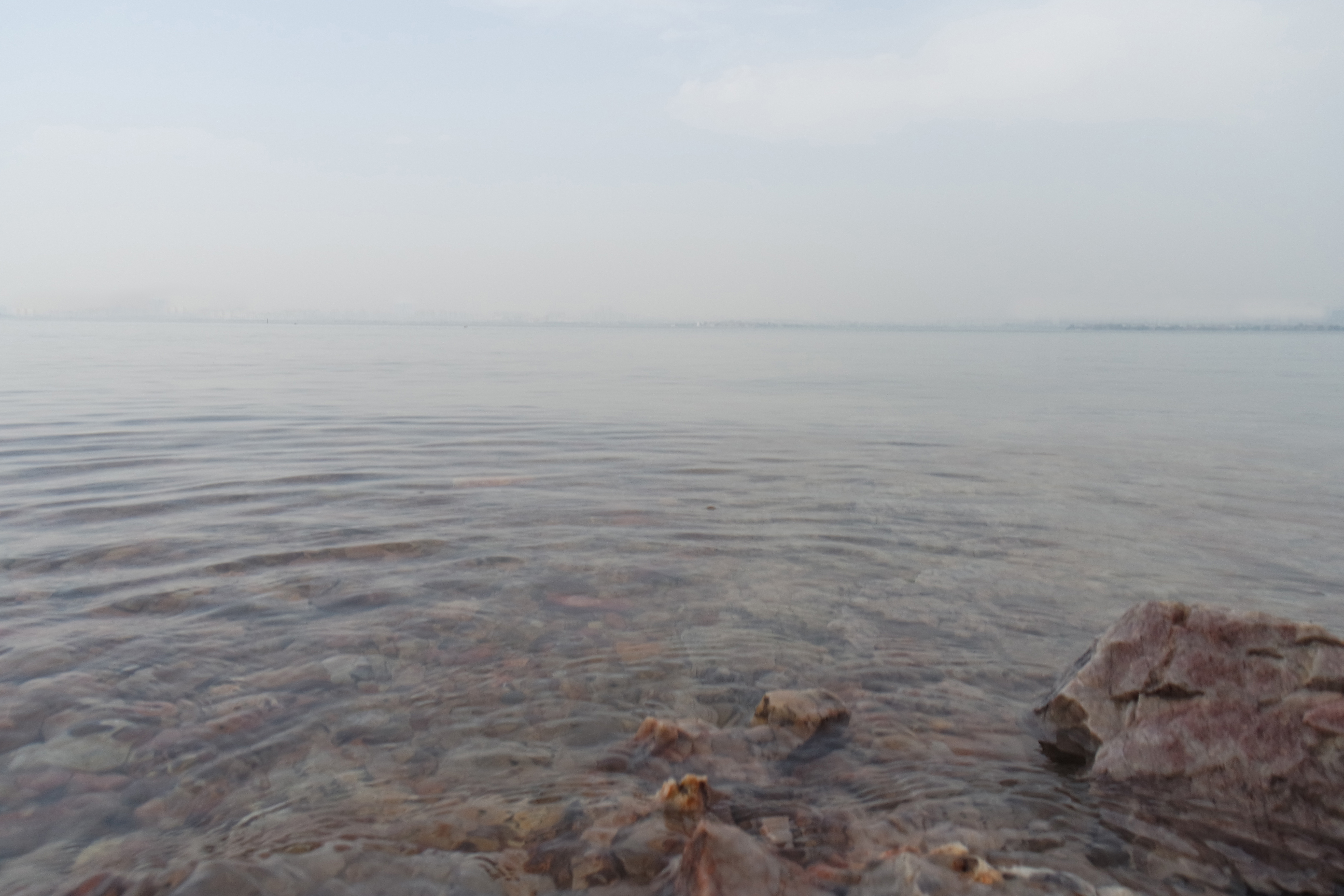 武昌理工学院樱花,武昌理工学院滚烫的青春