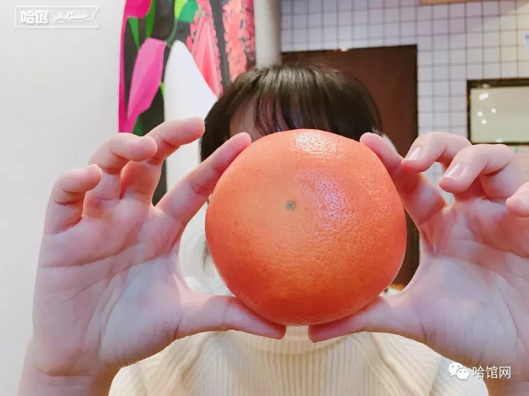 刷爆清迈的草莓芭乐饮火了一圈来到哈尔滨超高颜值自带滤镜