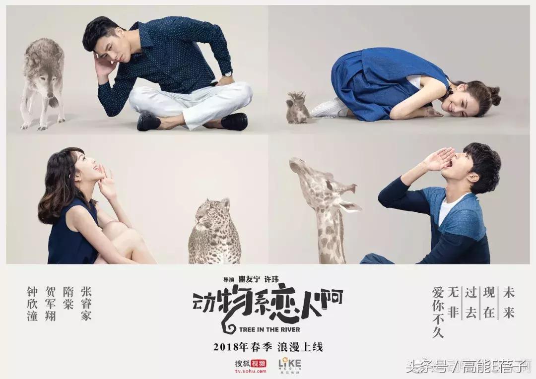 陈伟霆钟汉良新片,陈伟霆李沁新剧