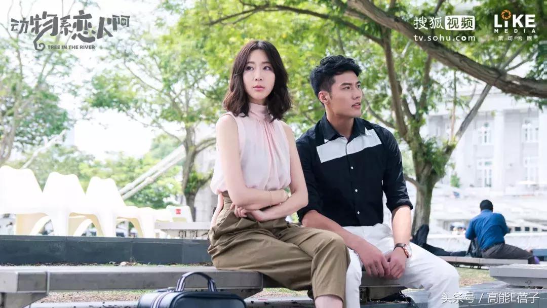 陈伟霆钟汉良新片,陈伟霆李沁新剧