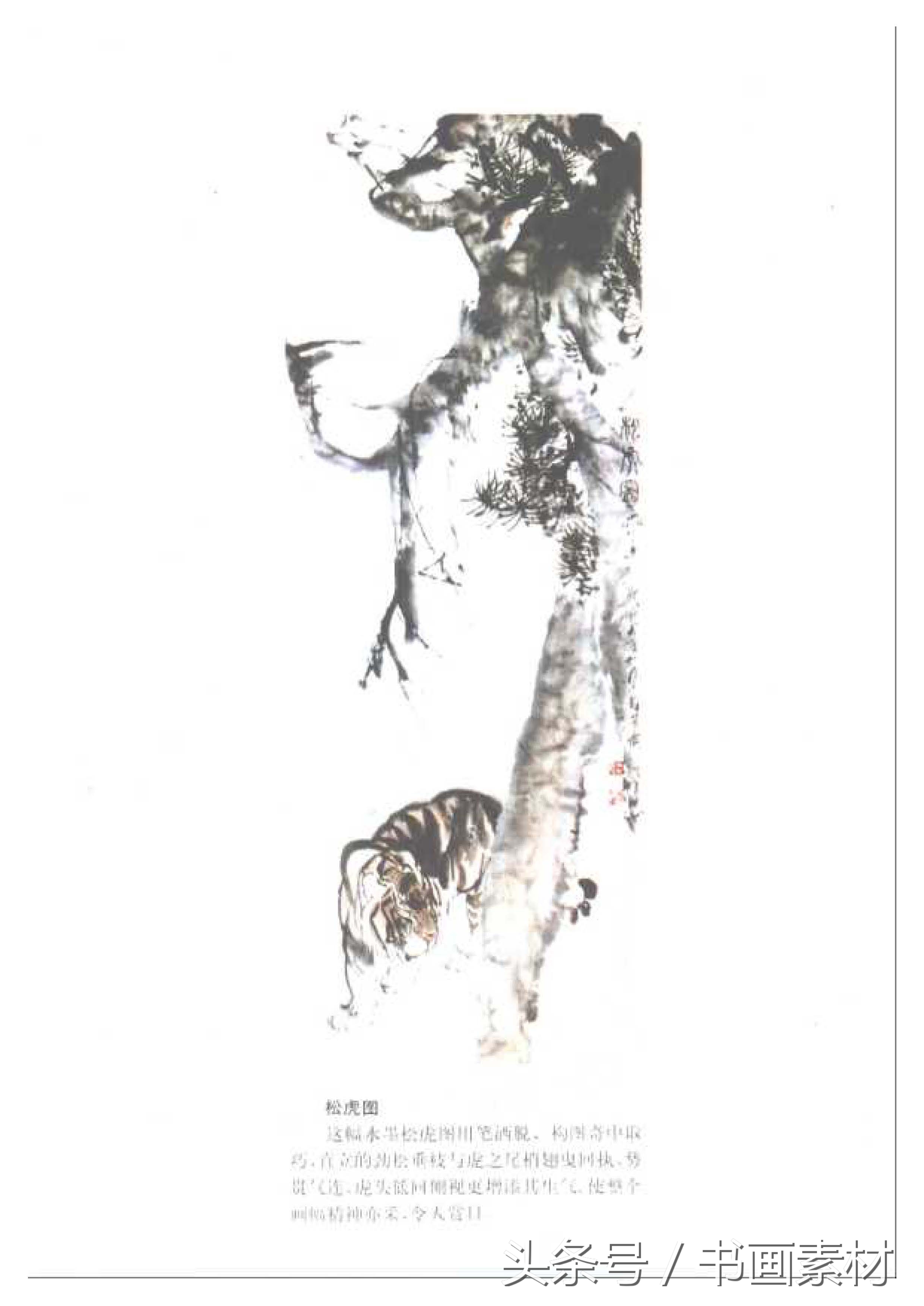 各大名家画虎方法教程,国画虎的绘画方法