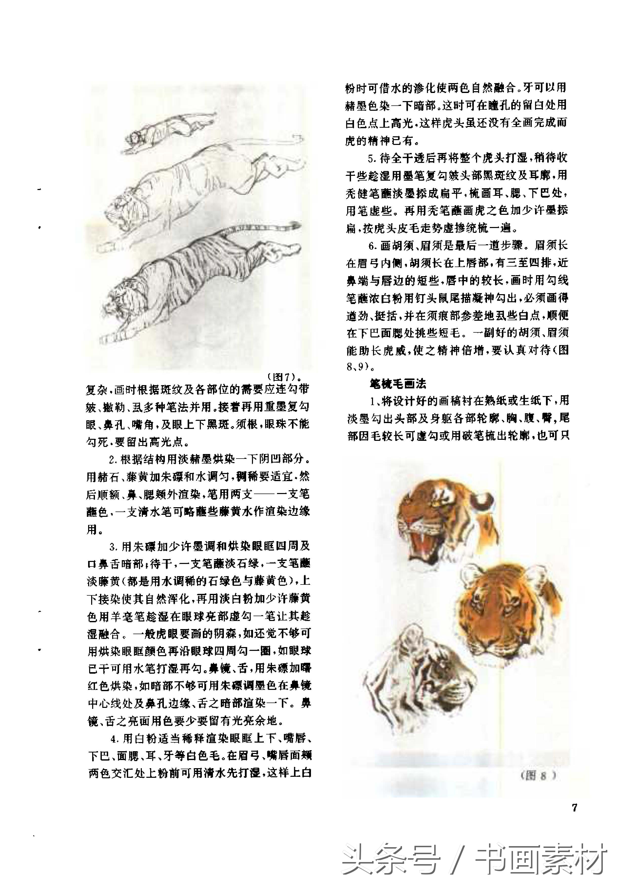 各大名家画虎方法教程,国画虎的绘画方法